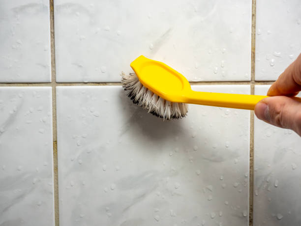 Best White Mold Remediation in Phoenix, IL