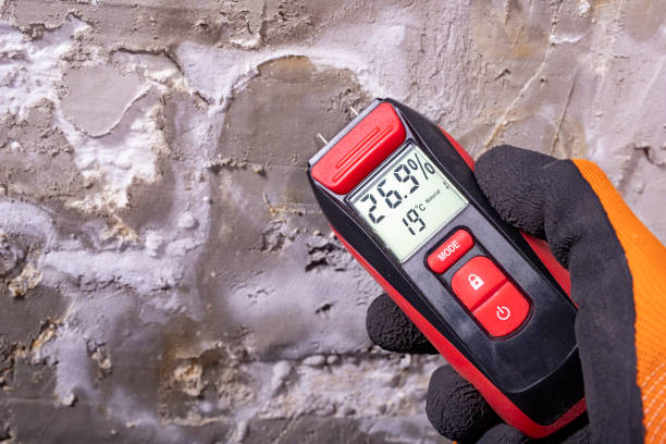 Best Commercial Mold Remediation in Phoenix, IL